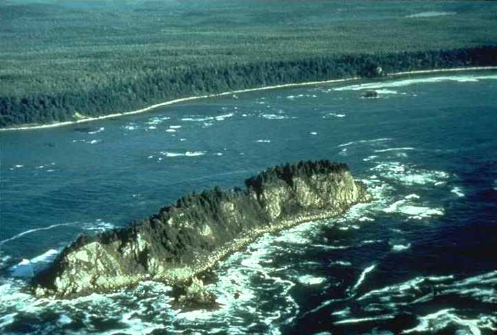 EAGLE EYE VIEW OF OZETTE ISLAND AND LAKE OZETTE!